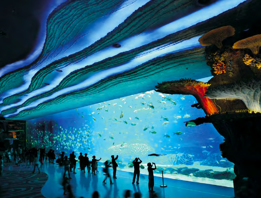 The Chimelong Ocean Kingdom Aquarium