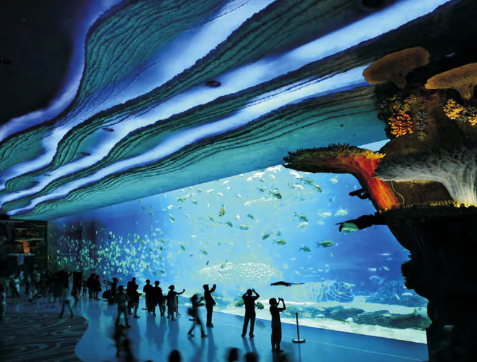 An image of the aquarium.